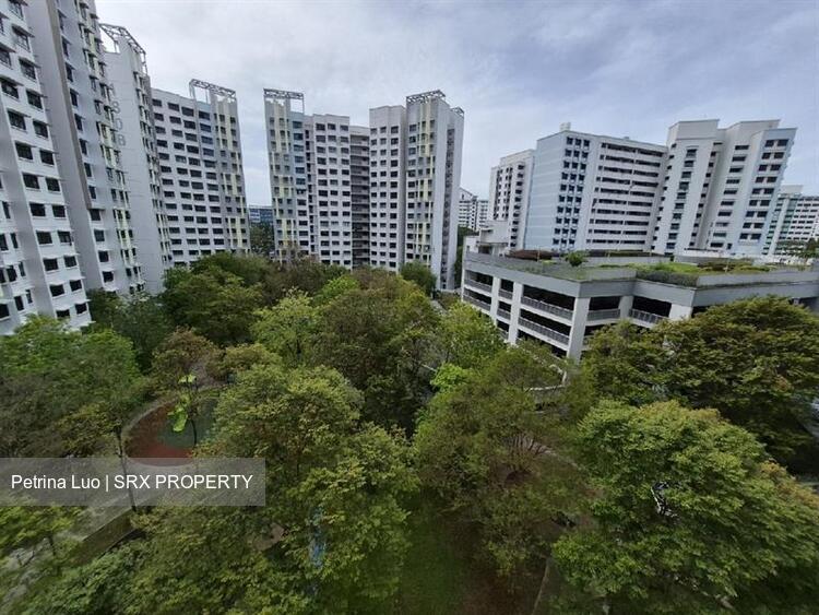 Blk 181A Boon Lay Meadow (Jurong West), HDB 4 Rooms #537035571